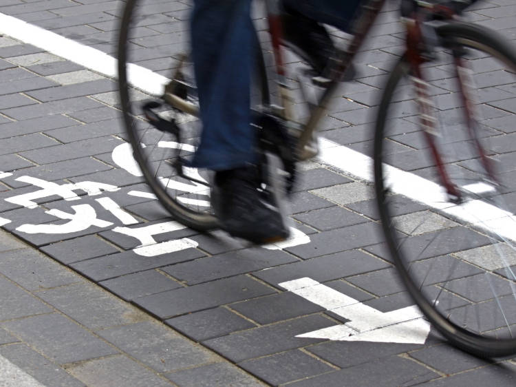 Cyclist on a cycle path